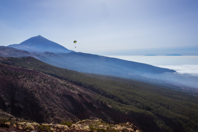 国家公园广场Tenerife