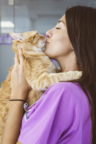 兽医在亲吻一只小猫。