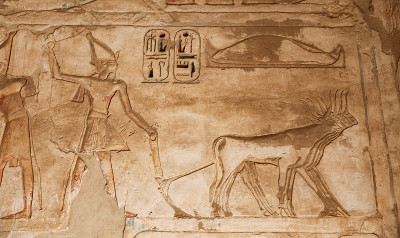 埃及象形文字在Medinet Habu神庙，卢克索，埃及