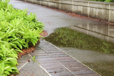 暴雨后人行道上的水坑