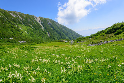 日本长野市一索马山的Senjojiki马戏团