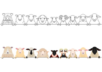 various sheep heads border set