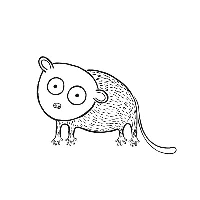 Tarsius眼镜猴草图