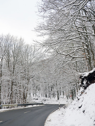 德国艾菲尔国家公园的雪路景观