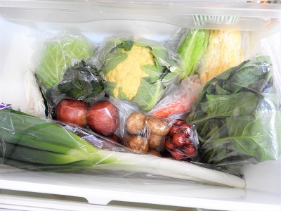 refrigerator7