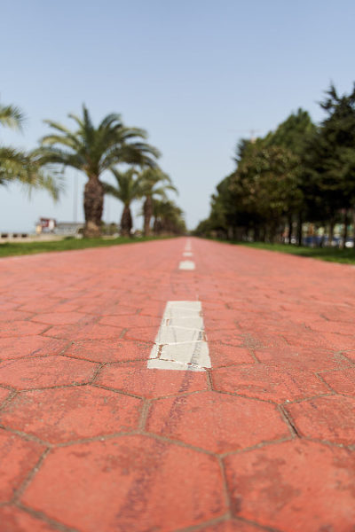 阳光明媚的巴统新大道。沿路有棕榈树。巴统。乔治亚州