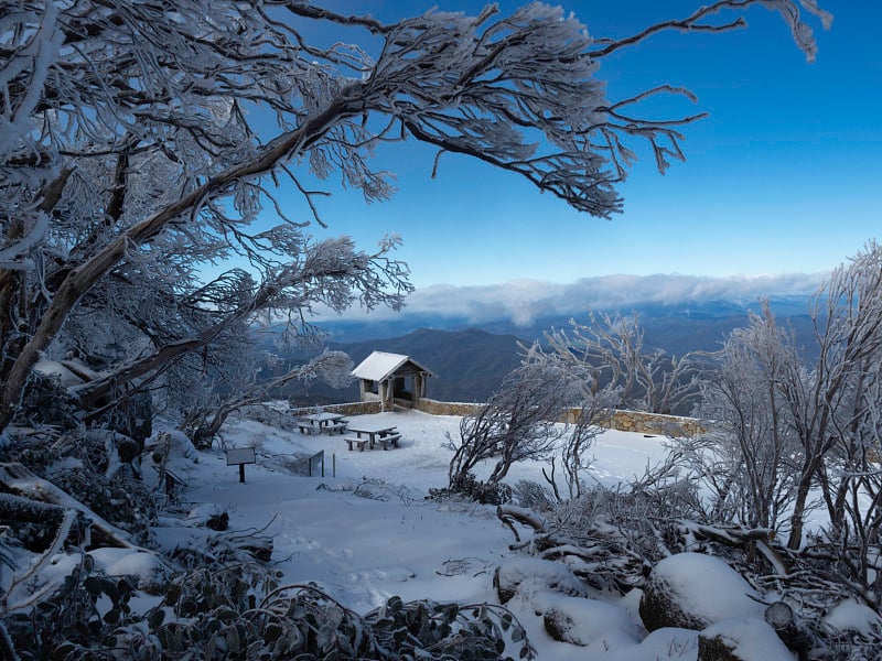 一间被雪和树包围的小屋