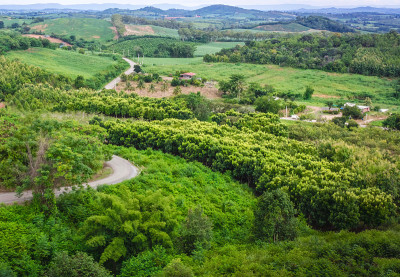 泰国农业:“Khao Yai”大山背景