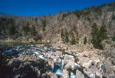 Johnson's自闭井SP -通道在岩石水平- 2002