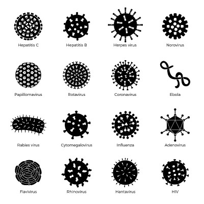 细菌。芽孢杆菌符号人类微生物stamm医学图标微生物符号微生物最近的载体轮廓插图集孤立