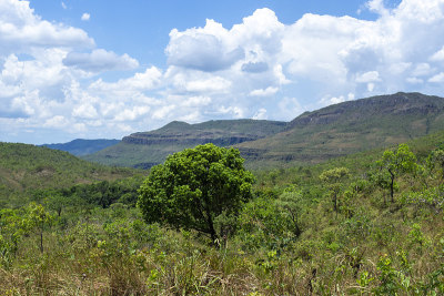 Veadeiros的Chapada dos Veadeiros