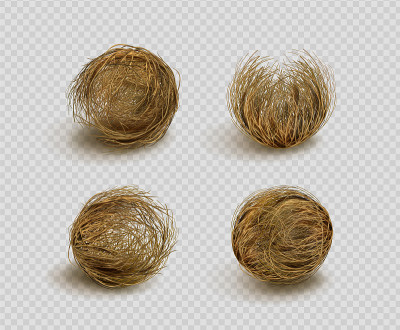 风滚草，沙漠里的干草球