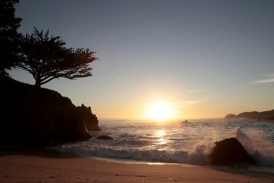 Point Lobos State Reserve, California