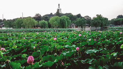 北京——中国北京，北海公园一个小湖的全景。山上有一座白色的北海宝塔