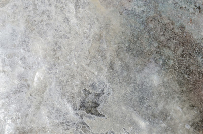 靠近海洋贝壳结构背景