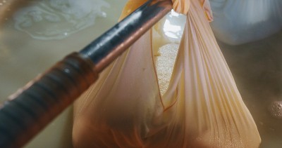 奶酪制作师使用新鲜的生物牛奶制作帕尔玛干酪。