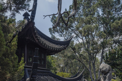 狮子林园(狮子林)在中国苏州
