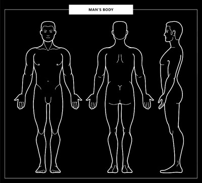 男性身体和男性解剖的图解。正面，背面和侧视图。轮廓矢量插图-矢量。
