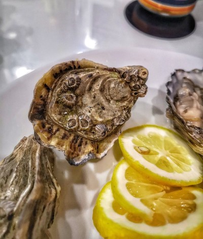 美味的牡蛎