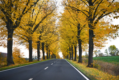 秋天的联邦公路