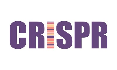 CRISPR系统的编辑，调控和靶向基因组词