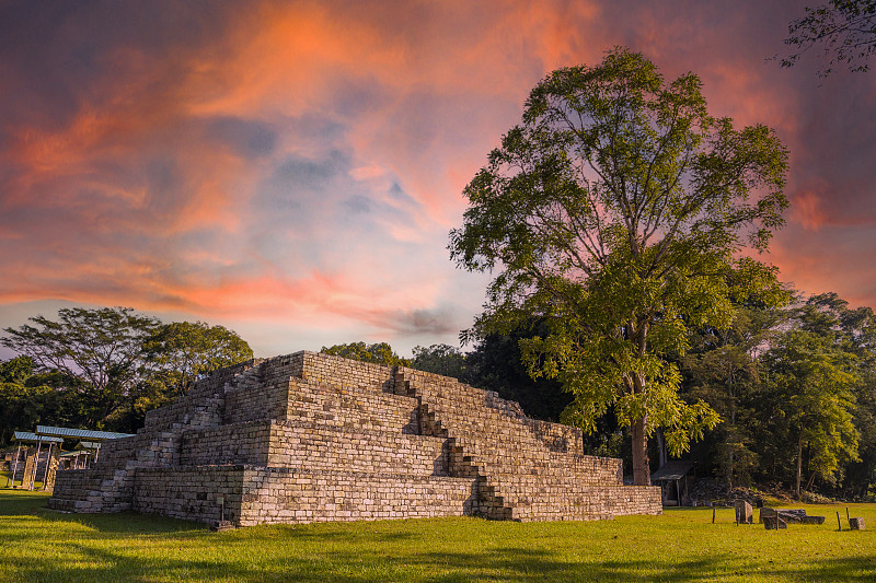 玛雅金字塔旁边的一棵树在Copán Ruinas寺庙在一个美丽的橙色日出。洪都拉斯