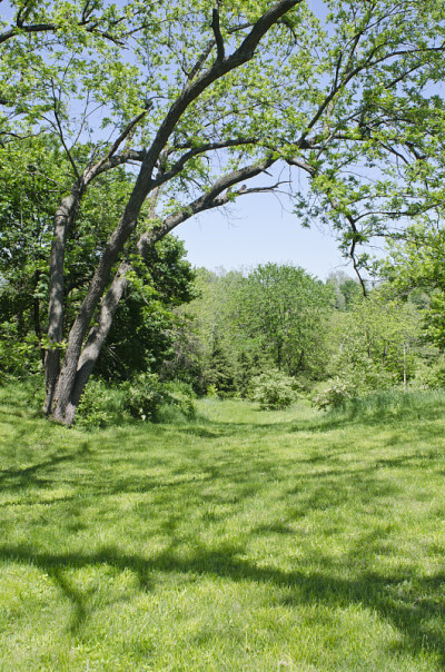 Wieduwilt Swales