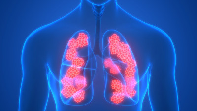 人体呼吸系统肺与肺泡解剖
