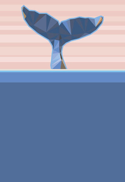 大海里的鲸鱼尾巴