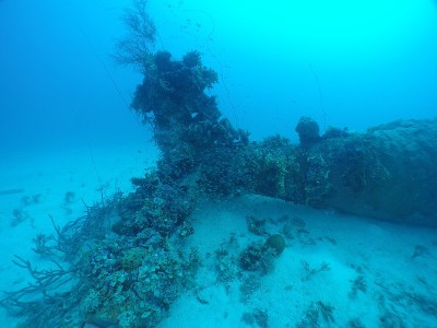 二战时日本海军的杰克水上飞机