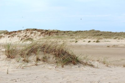 Dünenlandschaft