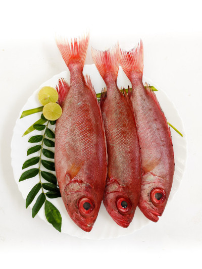 新鲜牛眼鱼(Priacanthus Hamrur)/月尾牛眼鱼，点缀柠檬片和咖喱叶，白色背景。