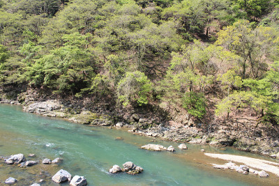 日本京都岚山的桂河