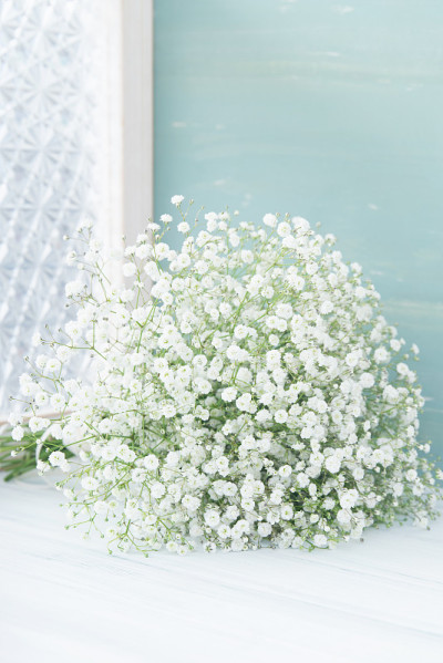 gypsophila的花束