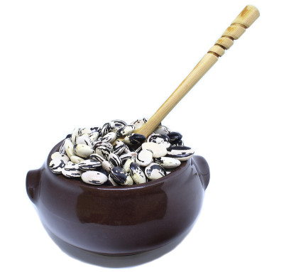 壶与蚕豆种子