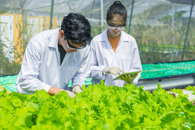 科学家测试溶液，化学检查，在有机水培农场检查新鲜程度。