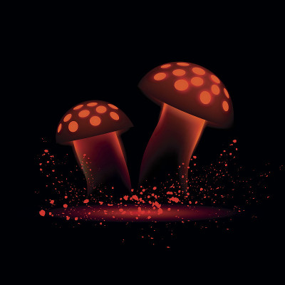 红色霓虹灯蘑菇。发光魔法黑木耳在黑色的背景。