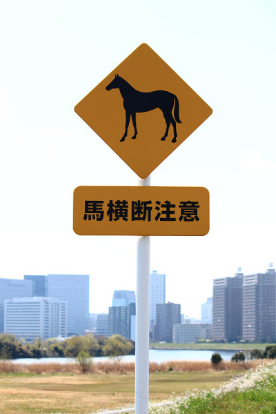 警告马匹交叉的标志