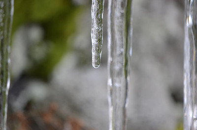 雪冻