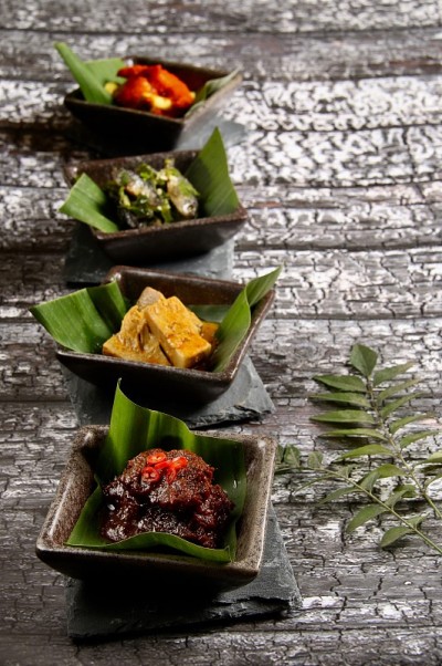 巴东乡村木材食物取样器