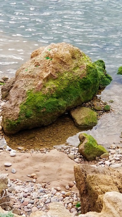 背景