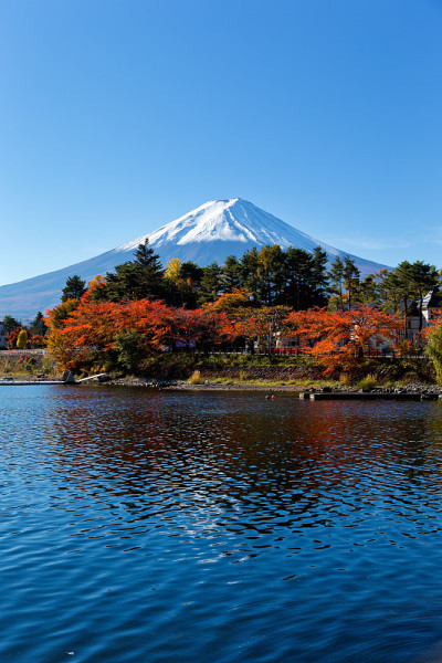 美丽的富士山从川口湖