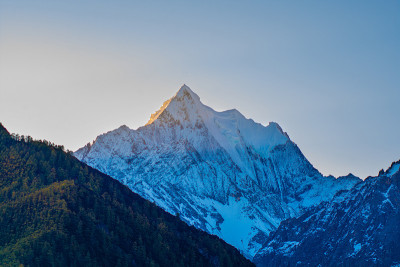 山上有雪和松林