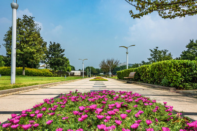 公园在中国