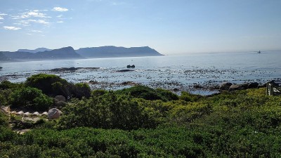 卵石海滩