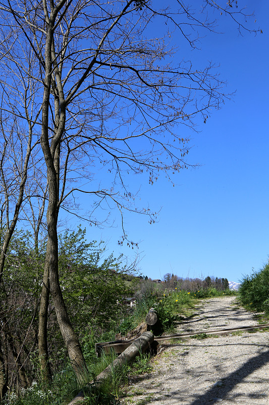 远足小径。Saint-Gervais-les-Bains。Haute-Savoie。Auvergne