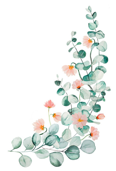 水彩粉红色的花和绿色的桉树叶花束插图