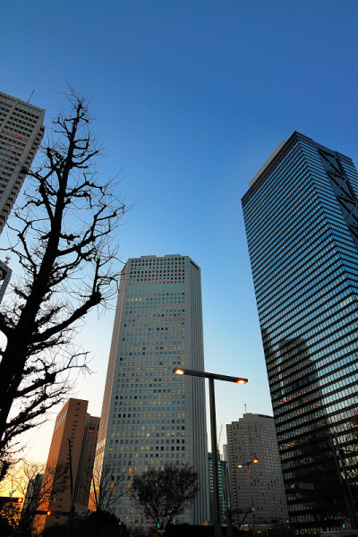 高层建筑群黄昏