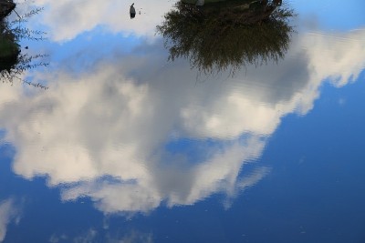 Lanscape
