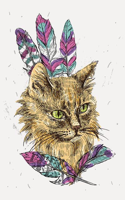 素描的猫